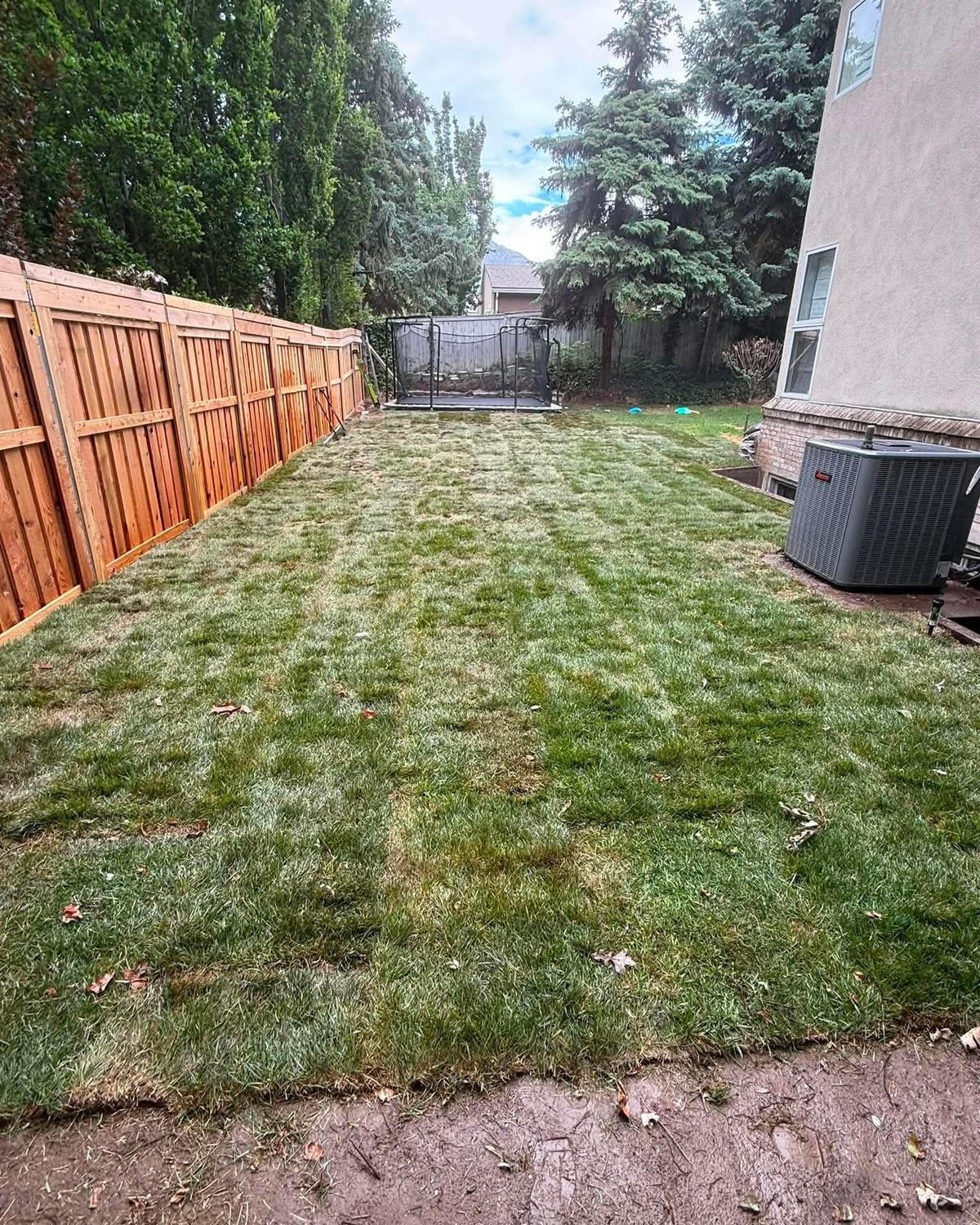 Fresh sod lawn install in a Utah backyard
