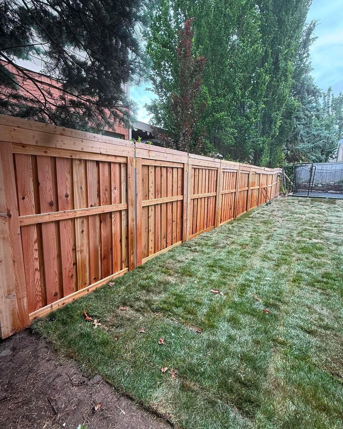 Cedar fence behind a sodded backyard