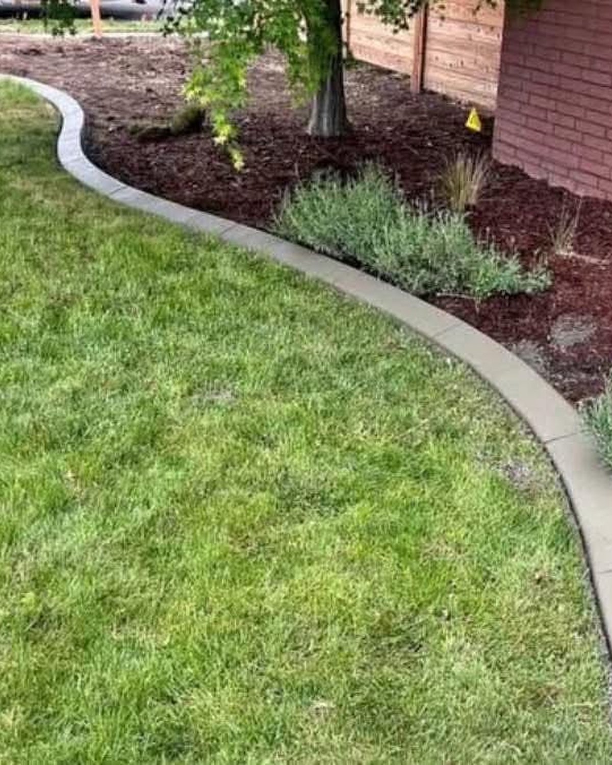 Curved mulched landscape border