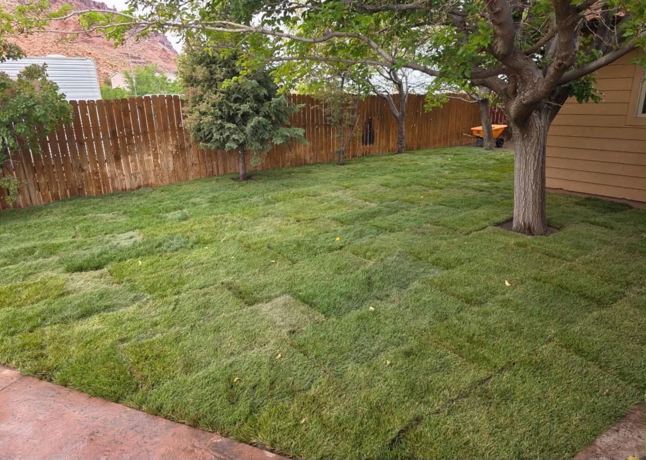 Fresh sod yard with mature shade trees and wood fence
