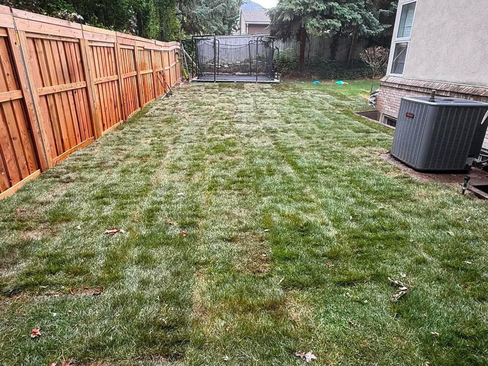 Sod Installation — Summit Landscape & Excavation, All of Utah
