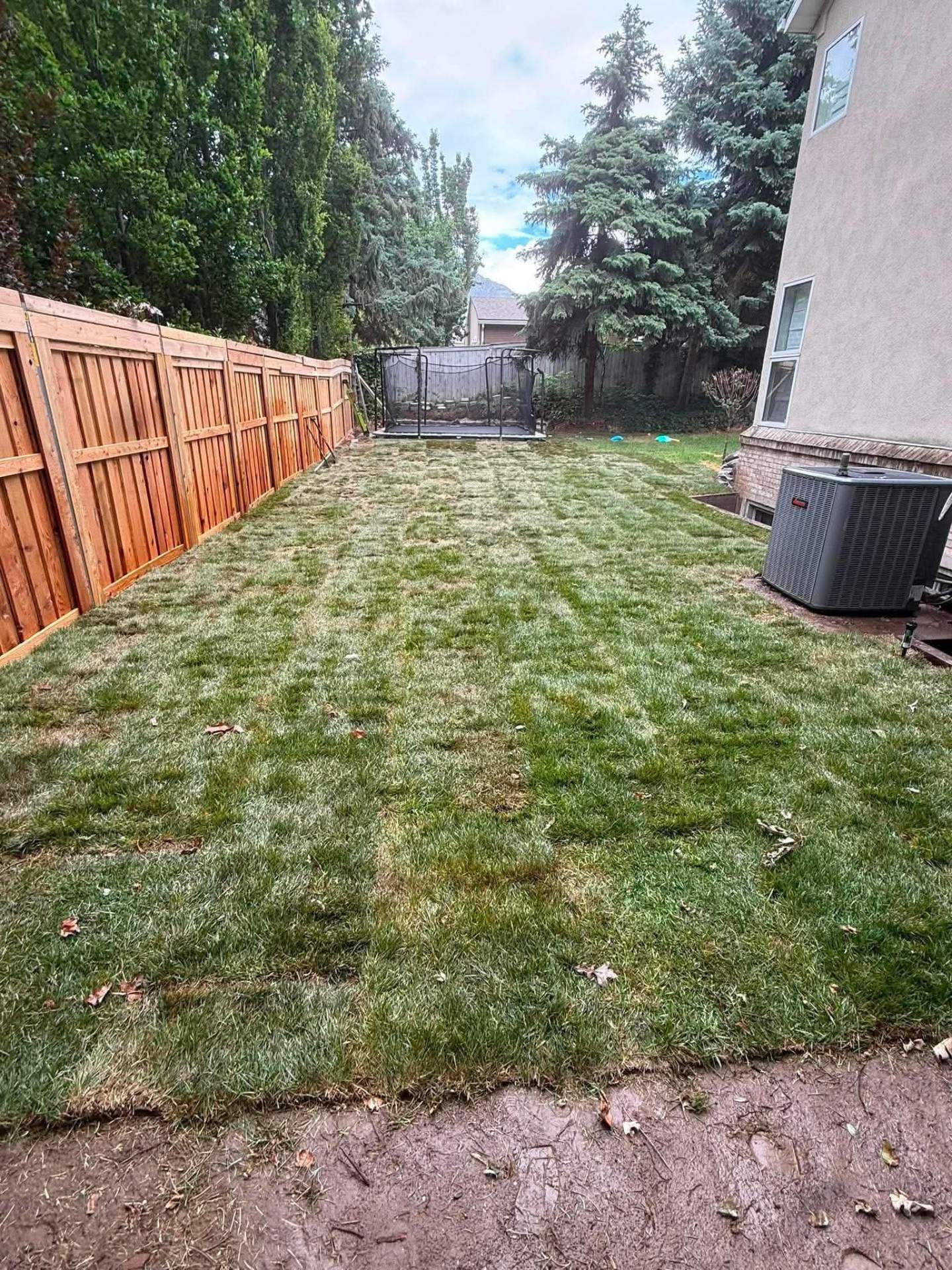 Sod Installation — Summit Landscape & Excavation, Utah County